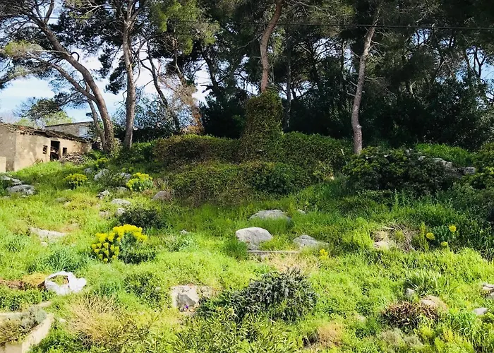 Seaview Апартаменты