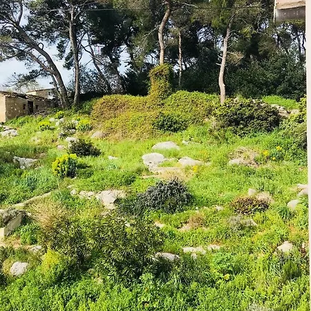 Apartman Seaview Sali