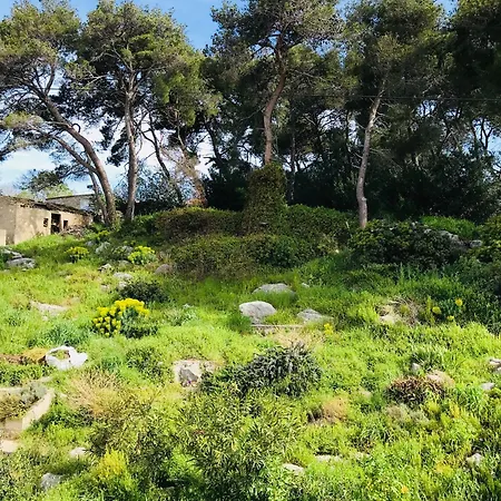 Seaview Апартаменты